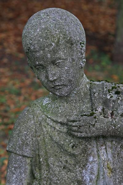 IMG_6640x.jpg