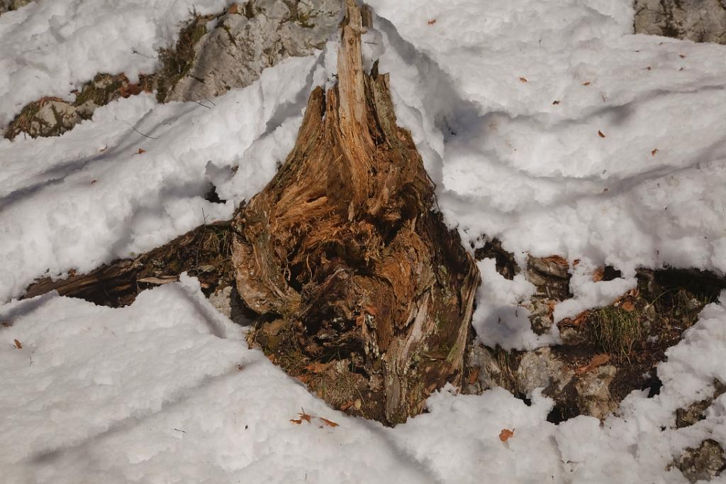 Koenigssee_019.jpg