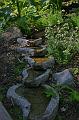 IMG_4742x