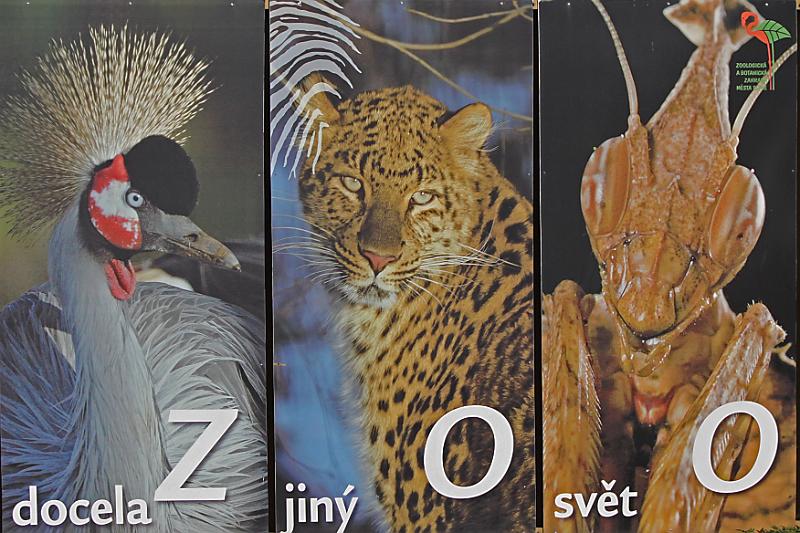 Zoo_Pilsen_01.JPG