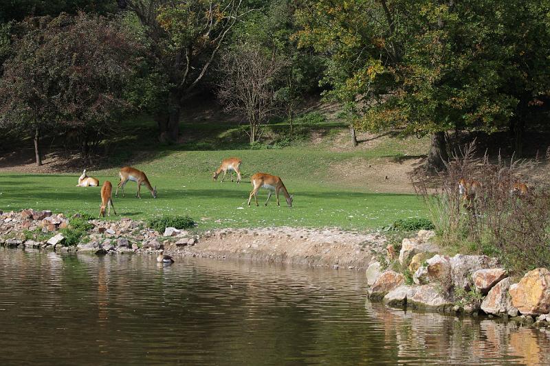 Zoo_Pilsen_12.jpg