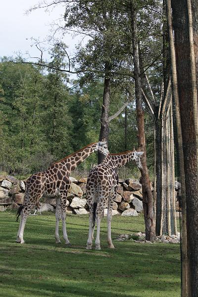 Zoo_Pilsen_18.JPG