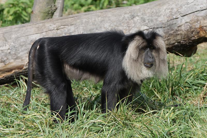 Zoo_Pilsen_20.jpg