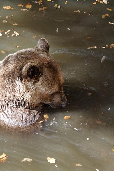Zoo_Pilsen_25.jpg