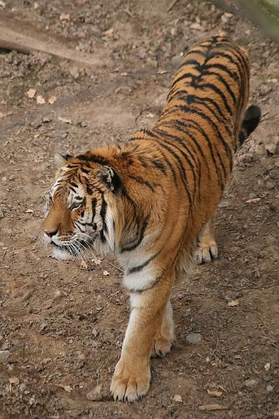 Zoo_Pilsen_28.jpg