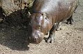 Zoo_Pilsen_08
