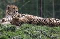 Zoo_Pilsen_13