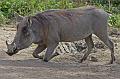 Zoo_Pilsen_14