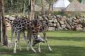 Zoo_Pilsen_19