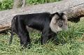 Zoo_Pilsen_20