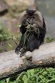 Zoo_Pilsen_21