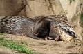 Zoo_Pilsen_22