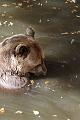 Zoo_Pilsen_25