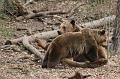 Zoo_Pilsen_26