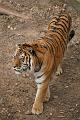 Zoo_Pilsen_28
