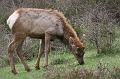 Zoo_Pilsen_32