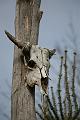 Zoo_Pilsen_35