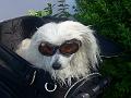 Burgmantreffen_ST.Aegyd_2014_14