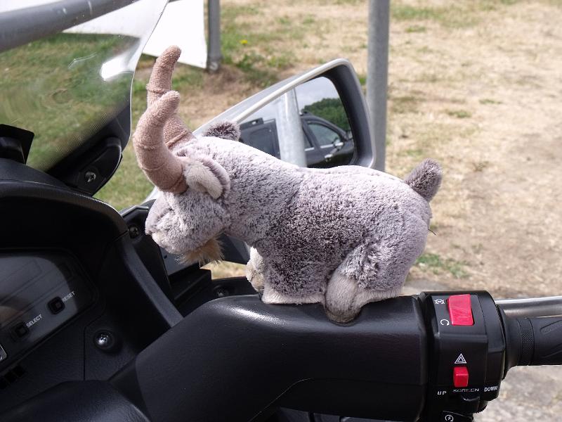 Burgmantreffen_Seßlach_2014_18.JPG
