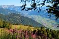 NRF_Zillertal_15