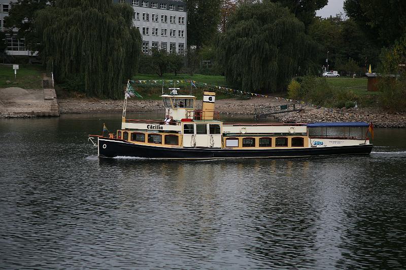 IMG_7393.JPG