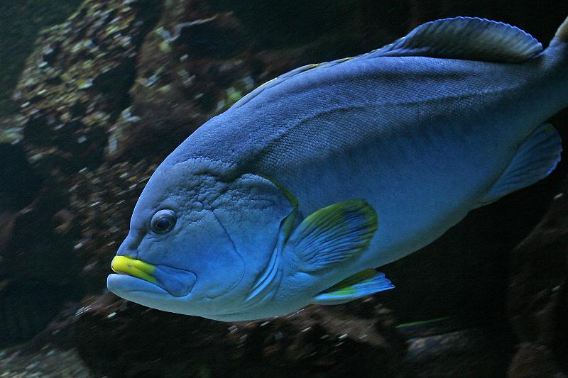 IMG_5040.JPG