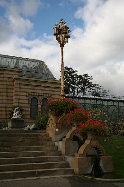 IMG_7882.JPG
