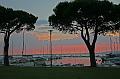 IMG_1478