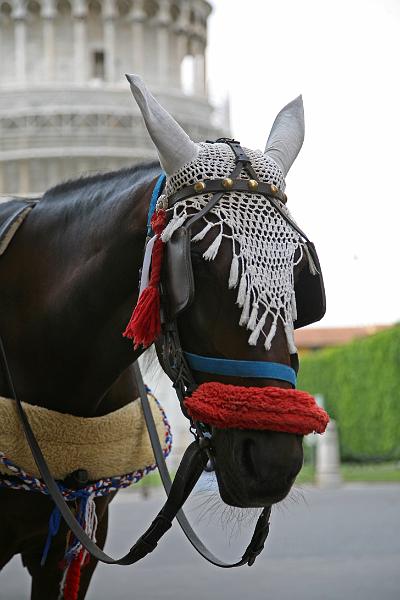 IMG_5055.JPG