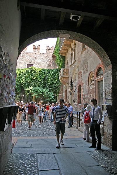 IMG_4955.JPG