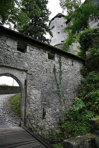 IMG_3705.JPG