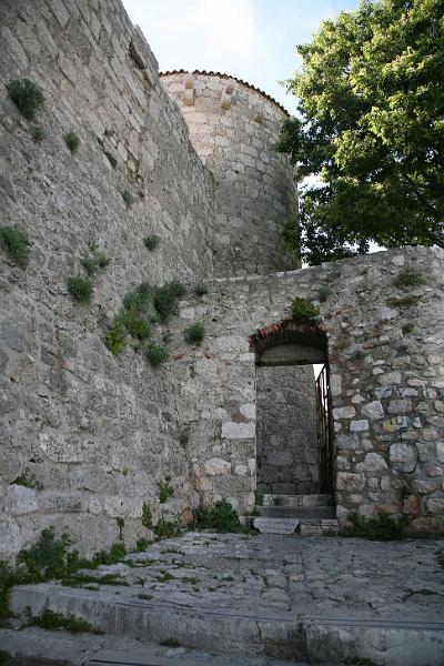 IMG_3429.JPG