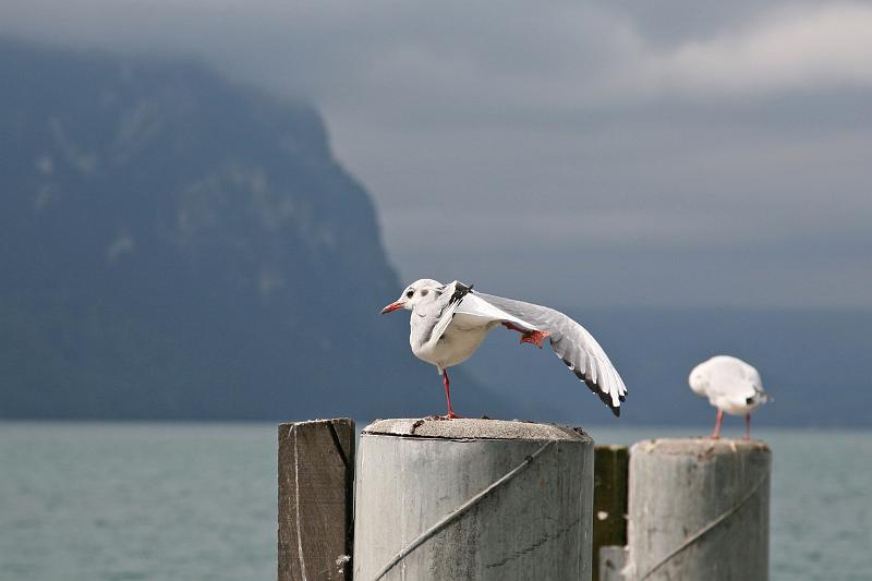 Luzern_40.jpg