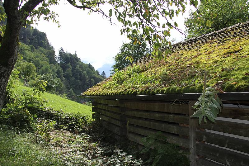 Luzern_41.jpg