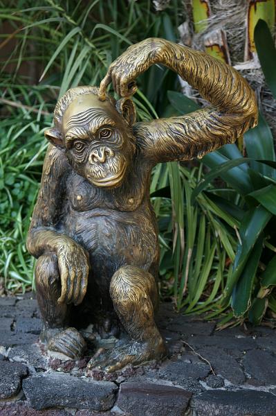 LoroPark45.JPG