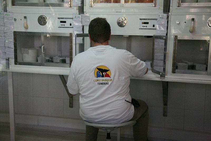 Baby-Station02.jpg
