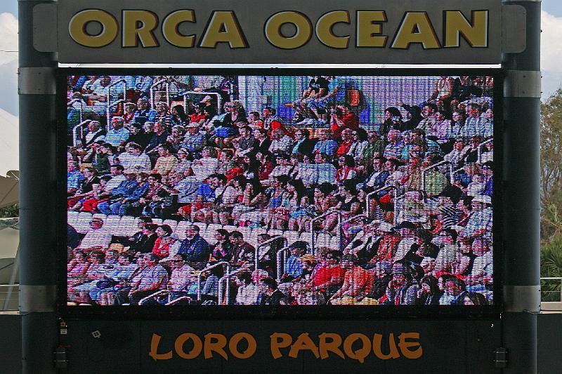 Orca01.jpg