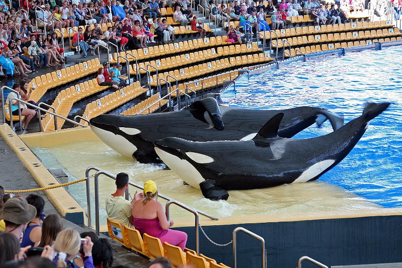 Orca15.jpg