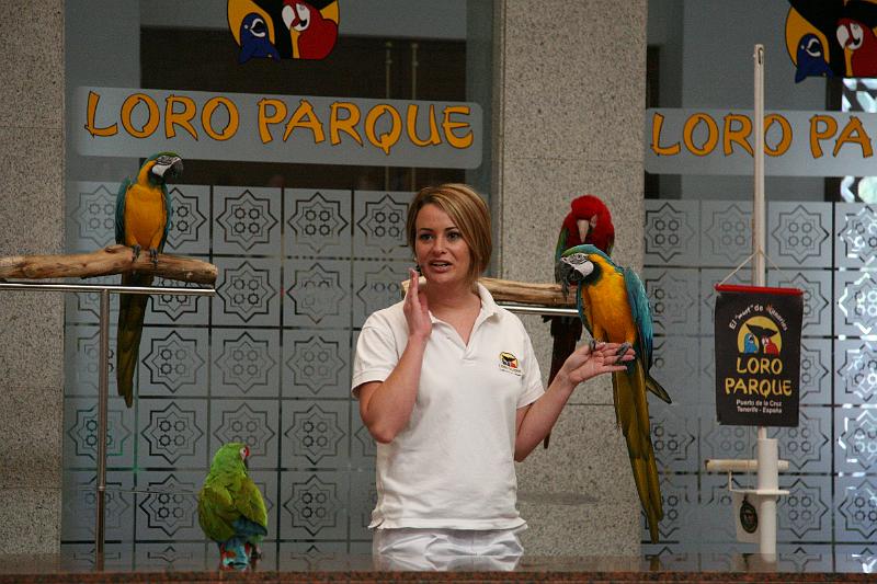Vögel02.jpg