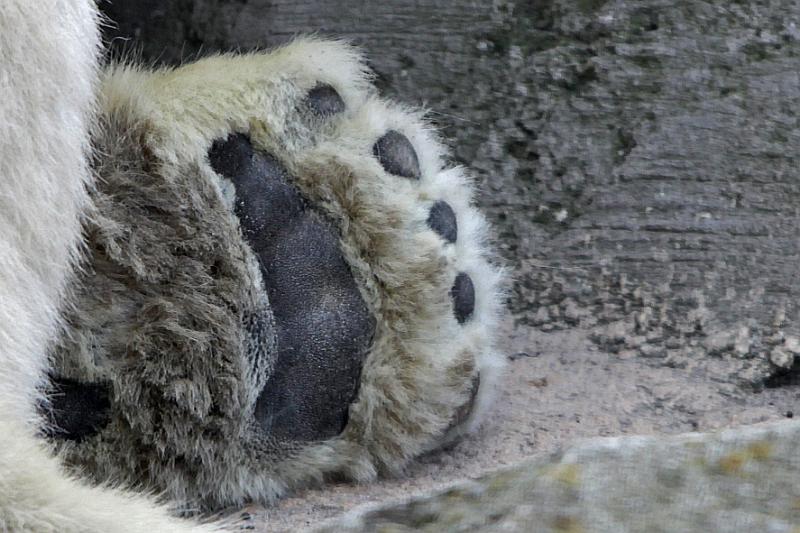 Bremerhaven_Zoo_03.jpg