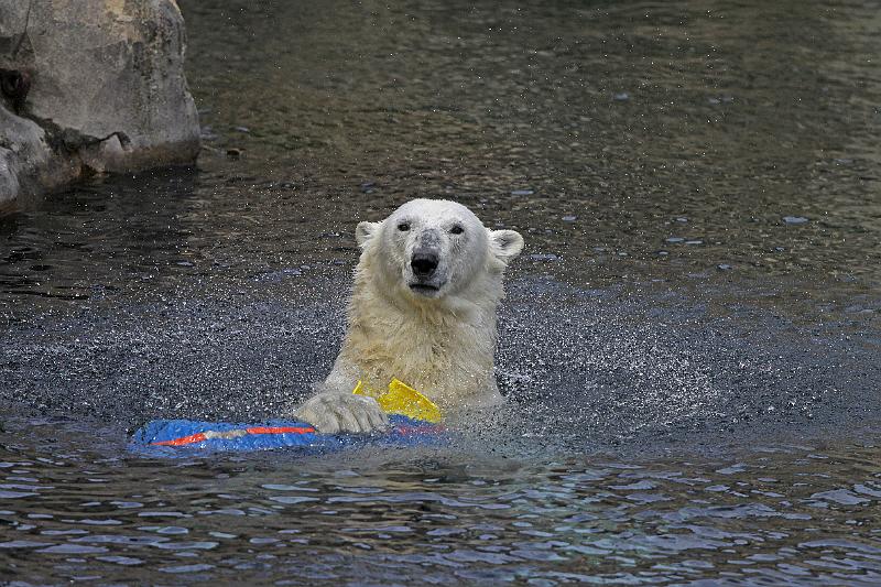 Bremerhaven_Zoo_04.jpg