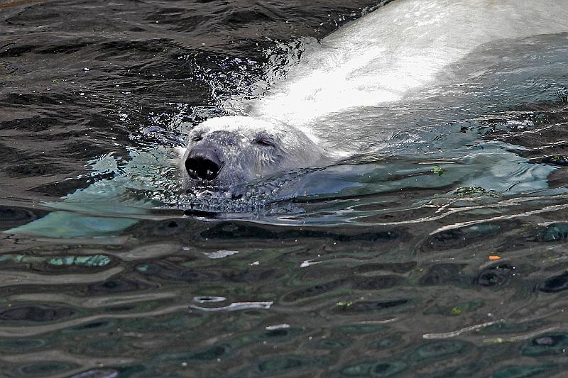 Bremerhaven_Zoo_05.jpg