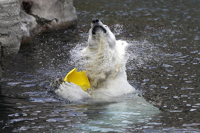 Bremerhaven_Zoo_06.jpg