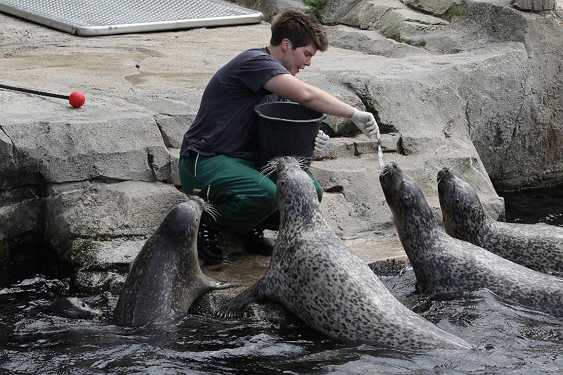 Bremerhaven_Zoo_08.jpg