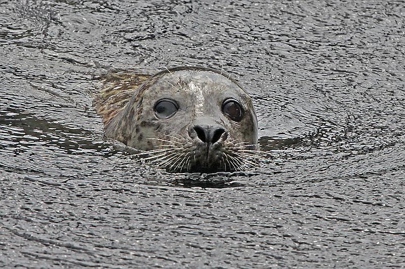 Bremerhaven_Zoo_10.jpg