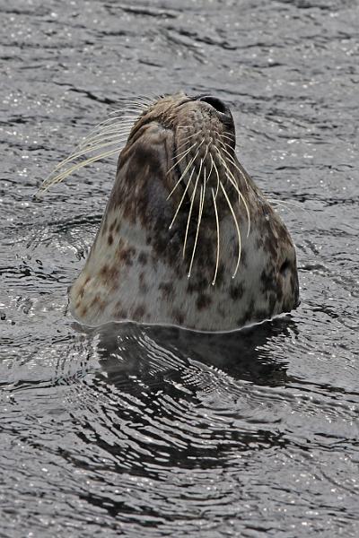 Bremerhaven_Zoo_11.JPG