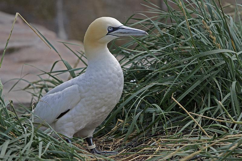 Bremerhaven_Zoo_14.jpg
