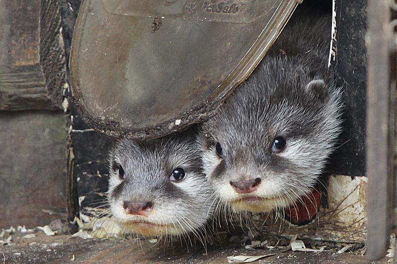 Bremerhaven_Zoo_18.jpg