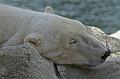 Bremerhaven_Zoo_01