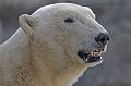 Bremerhaven_Zoo_02